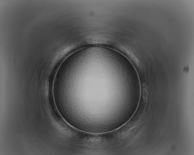 X0000094770631200711241317