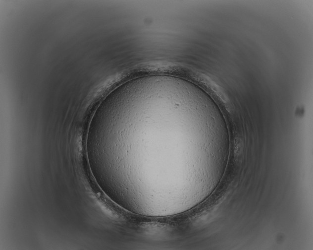 X0000094770633200711241317