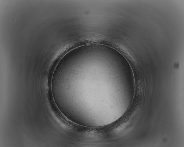 X0000094770634200711241317