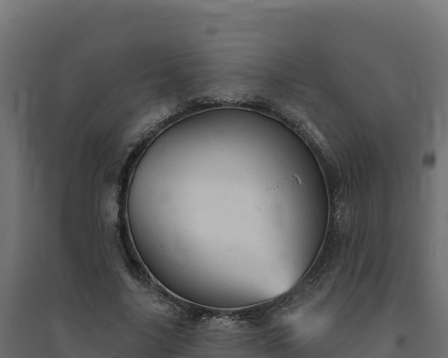 X0000094770635200711241317