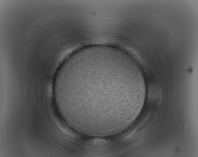 X0000094770636200711241317