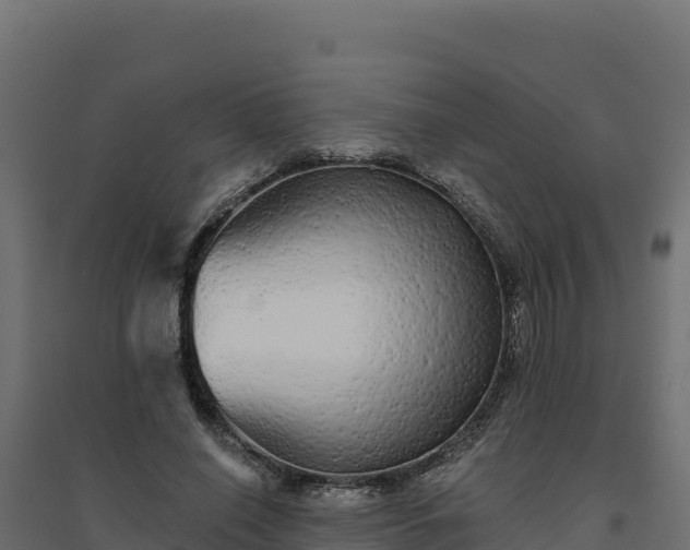 X0000094770638200711241317