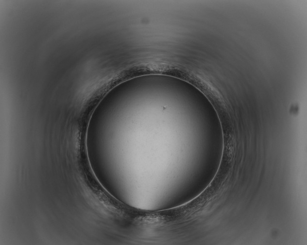 X0000094770639200711241318