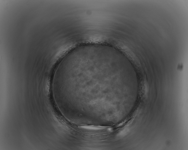 X0000094770640200711241318