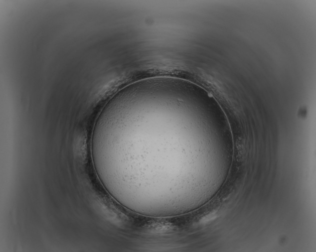 X0000094770642200711241318