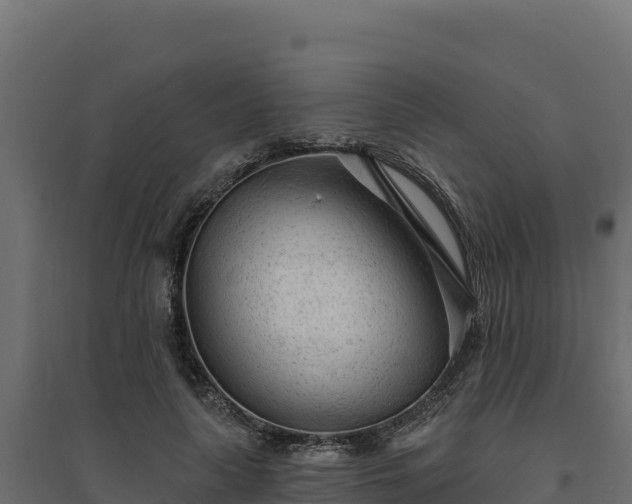 X0000094770643200711241318