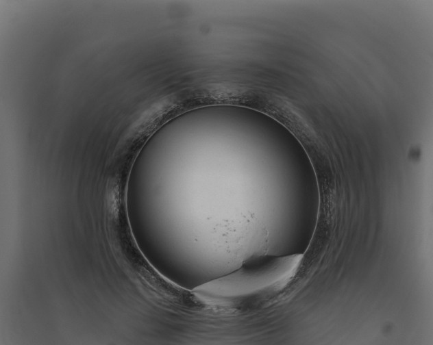 X0000094770644200711241318