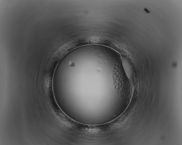 X0000094770645200711241318