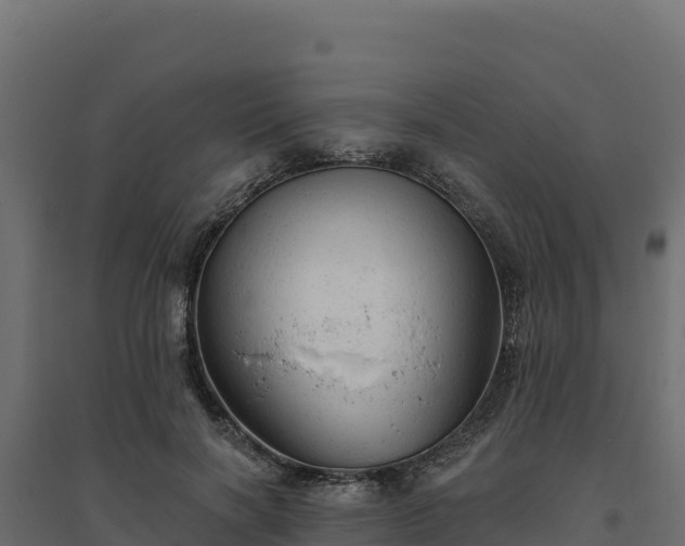 X0000094770646200711241318