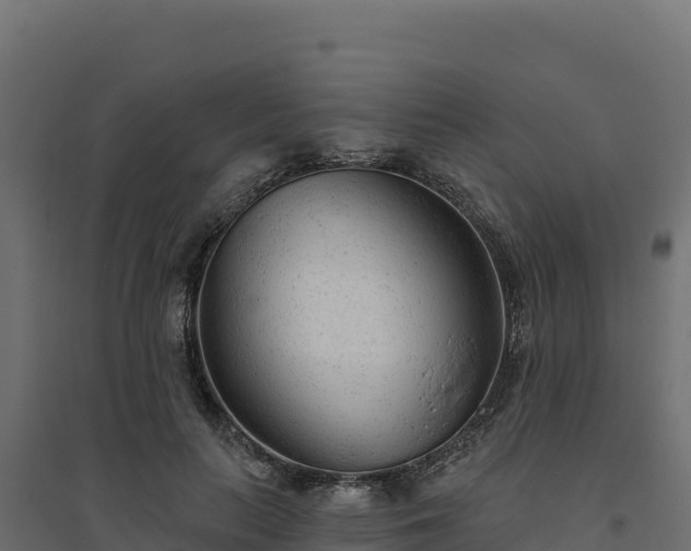 X0000094770647200711241318