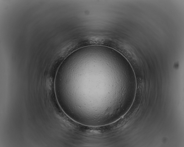 X0000094770649200711241318