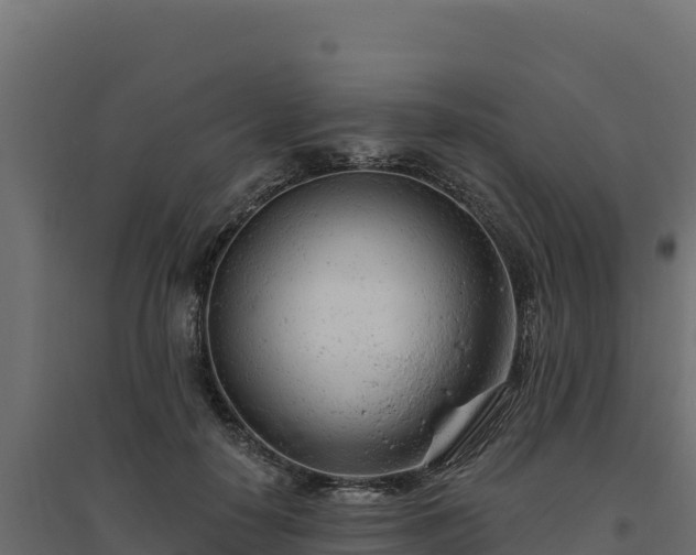 X0000094770650200711241318