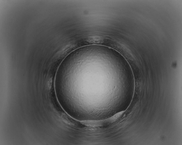 X0000094770652200711241318