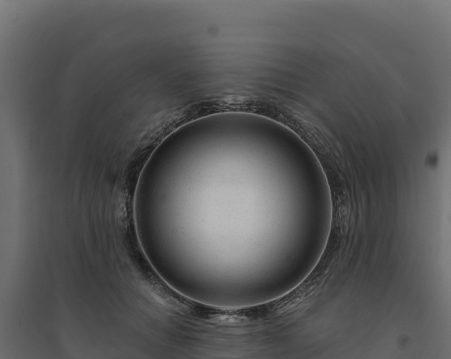 X0000094770654200711241318