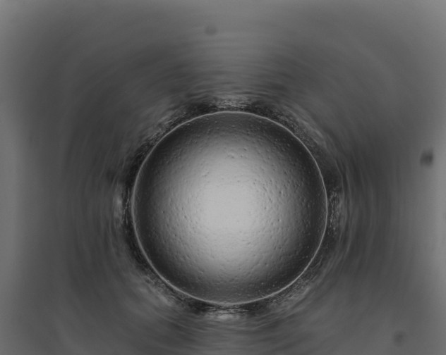 X0000094770655200711241318