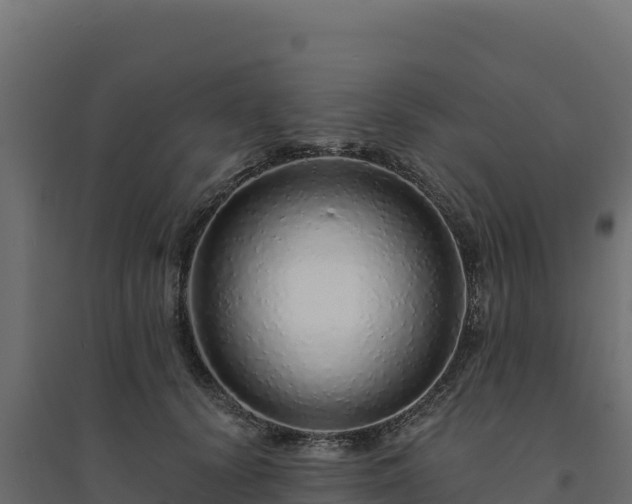 X0000094770656200711241318