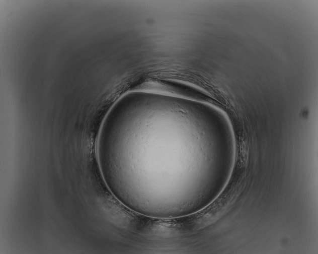 X0000094770657200711241318