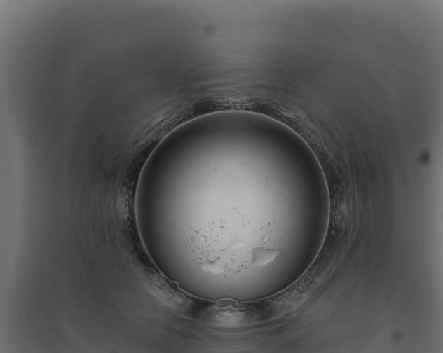 X0000094770658200711241318