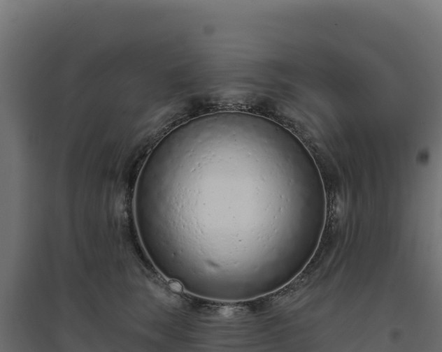 X0000094770663200711241318