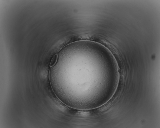 X0000094770665200711241318