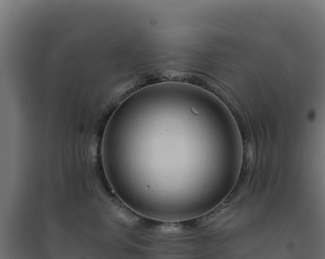 X0000094770668200711241318