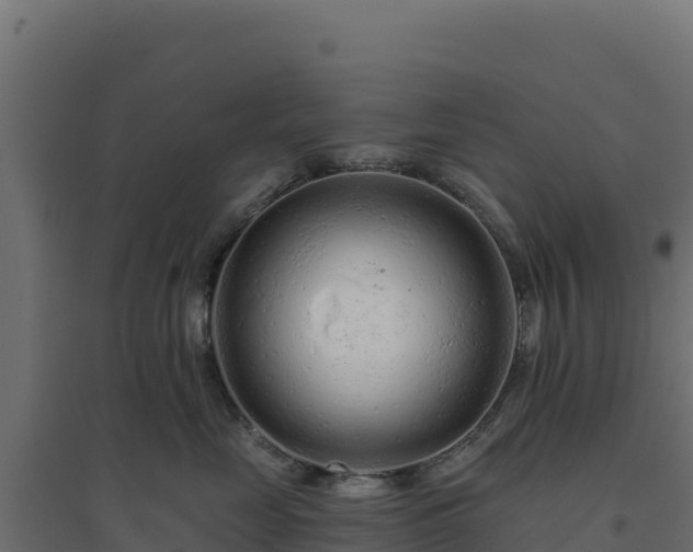 X0000094770669200711241318