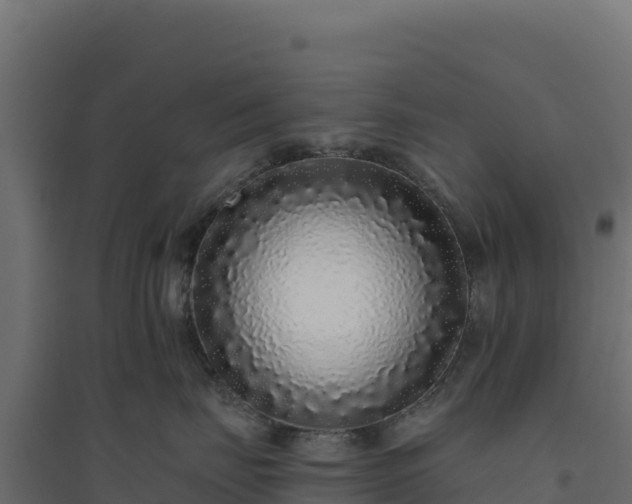 X0000094770671200711241318