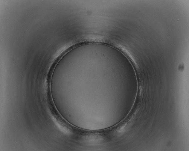 X0000094770674200711241317