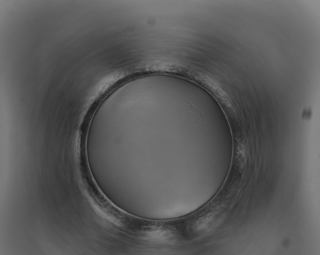 X0000094770678200711241317