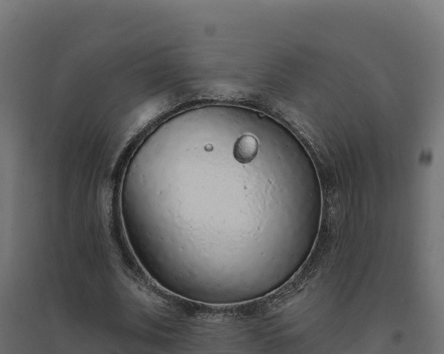 X0000094770679200711241317