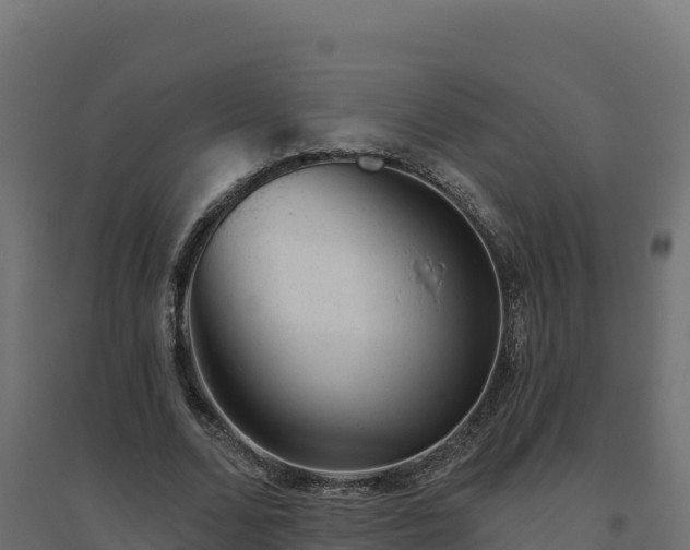 X0000094770680200711241317