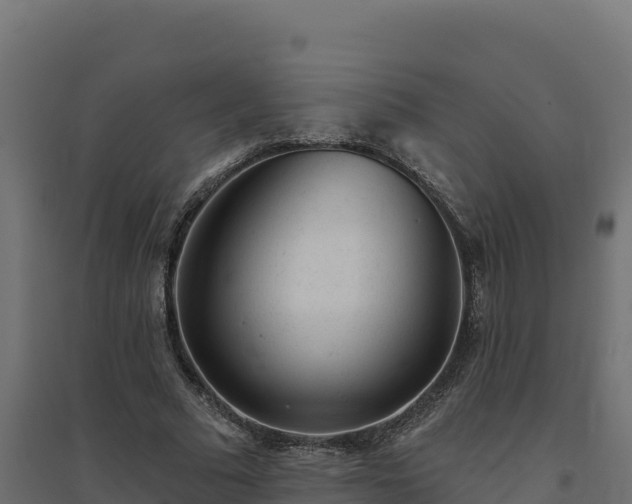 X0000094770681200711241317