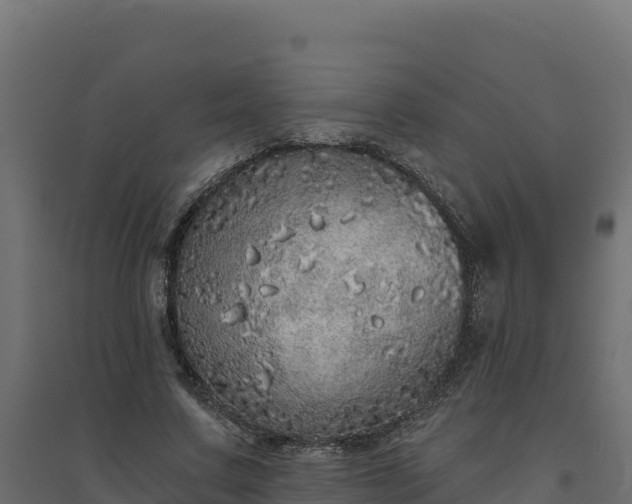 X0000094770683200711241317