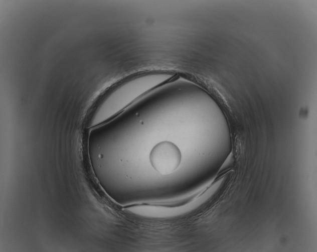 X0000094770684200711241317