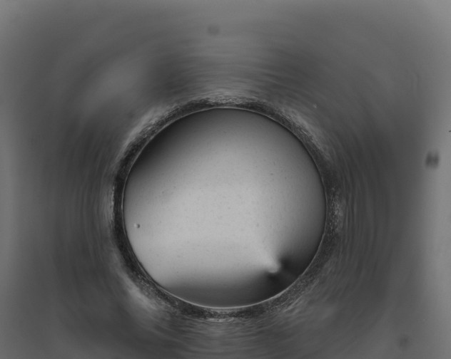 X0000094770686200711241317