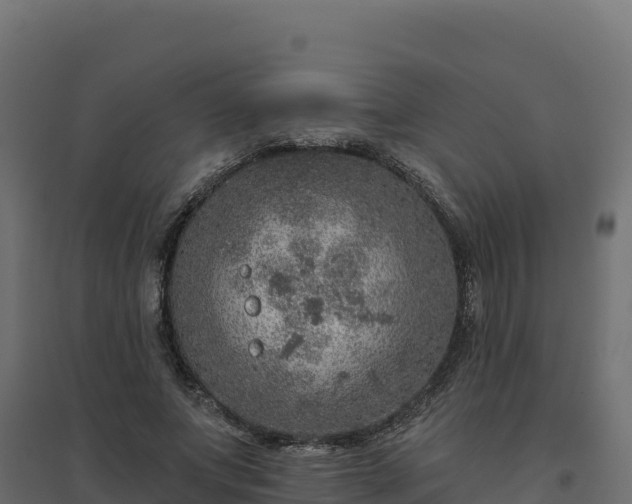 X0000094770687200711241317