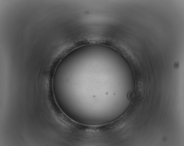 X0000094770690200711241317