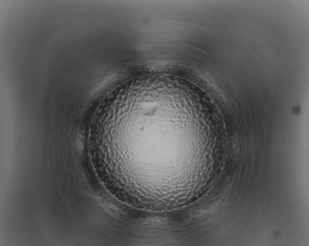 X0000094770691200711241317