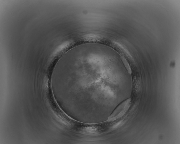 X0000094770692200711241317