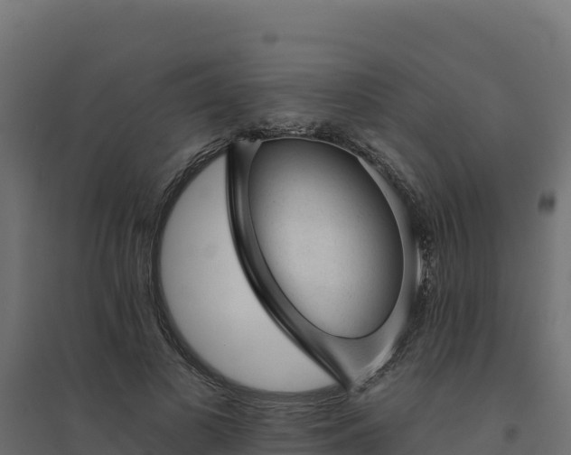 X0000094770693200711241317