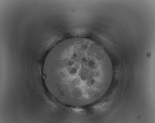 X0000094770695200711241317