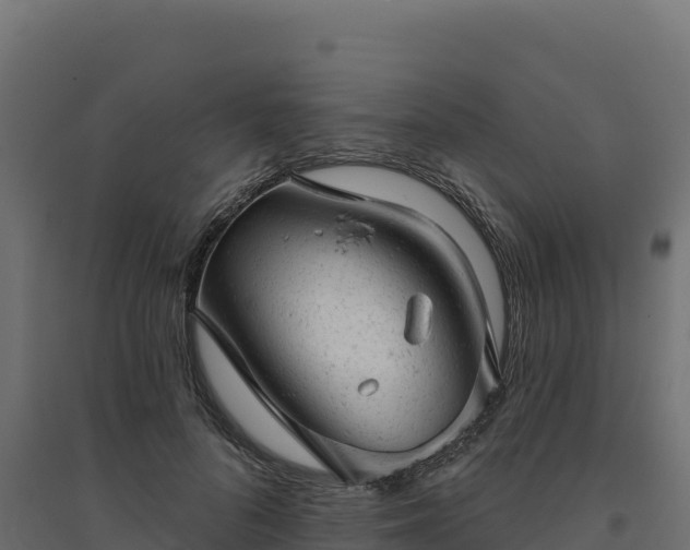 X0000094770696200711241317