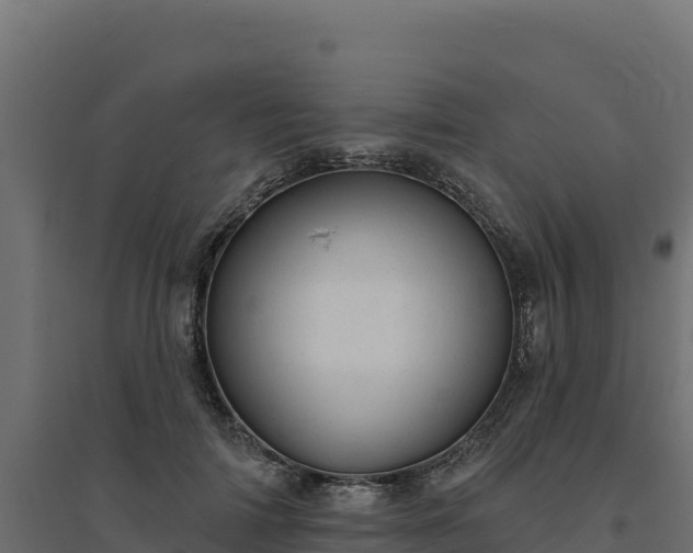 X0000094770698200711241317