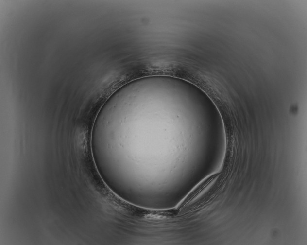 X0000094770699200711241317