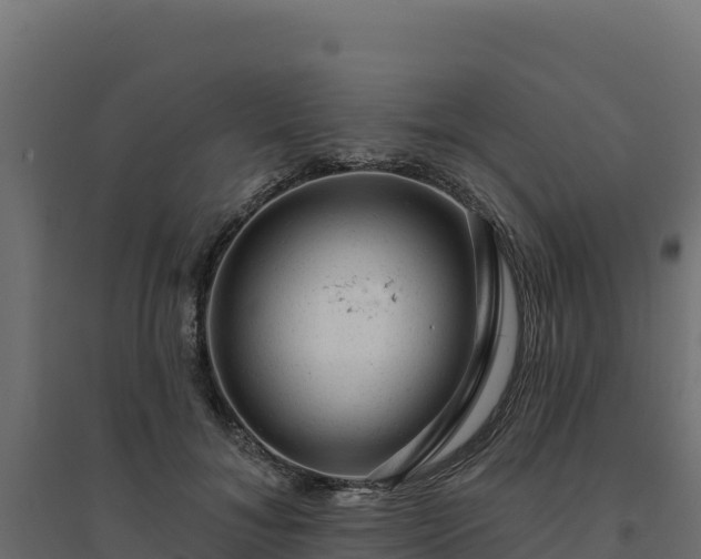 X0000094770700200711241317