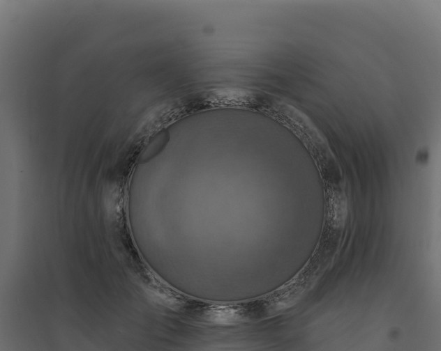 X0000094770701200711241317