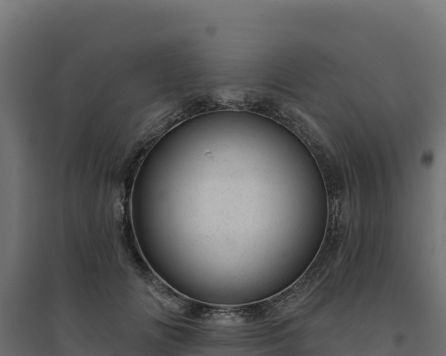 X0000094770702200711241317