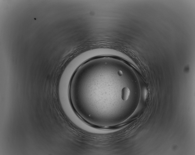 X0000094770705200711241317