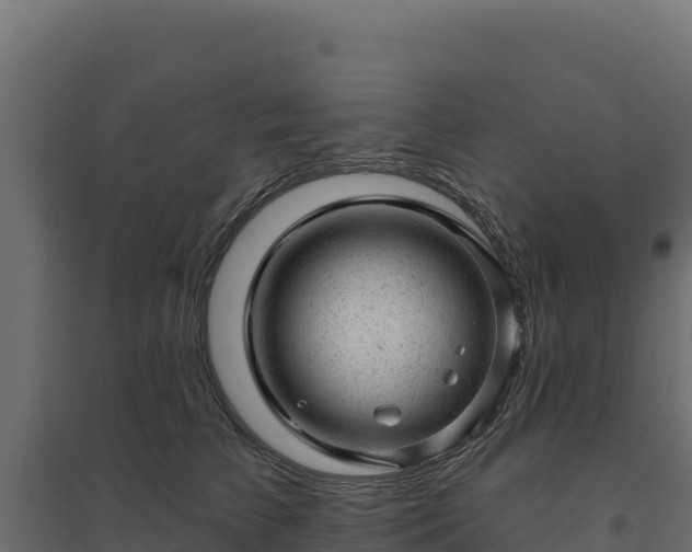 X0000094770709200711241317