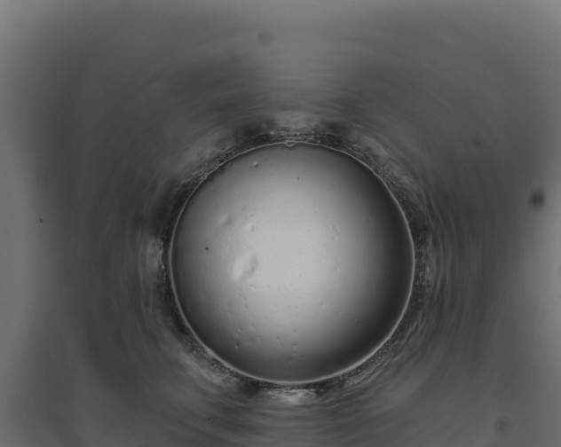 X0000094770711200711241317